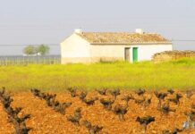 Sí hay motivos para manifestarse