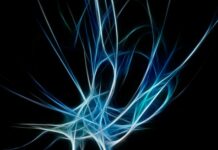 «Tener que morir, ¿sin querer morir?»