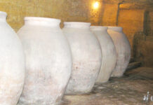 Cuevas Domésticas de Tomelloso (VII)