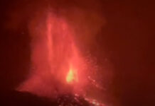 Toda la fuerza de la naturaleza