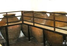 Cuevas domésticas de Tomelloso (XX) : «Características»