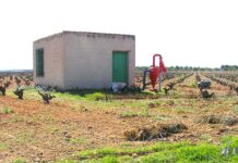 Tomelloso y sus pozos