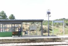 ¿Toro verde o Bienvenido MR. Marshall?