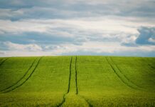 Unión de Uniones de Castilla-La Mancha: «Los pobres jóvenes agricultores de Castilla-La Mancha»