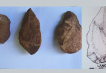 Encuentra, fortuitamente, útiles líticos prehistóricos del Achelense, en la Cuenca del Alto Guadiana