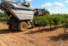 Ya estamos en vendimia
