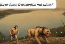 El Yacimiento Paleontológico junto a las Lagunas “La Colgada” y “Laguna del Rey”, pequeño y petrificado “Jardín” de fósiles (Il)