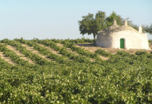 ASAJA Ciudad Real tramita los expedientes denegados de Reestructuración e Incorporación para su resolución favorable en el año 2025