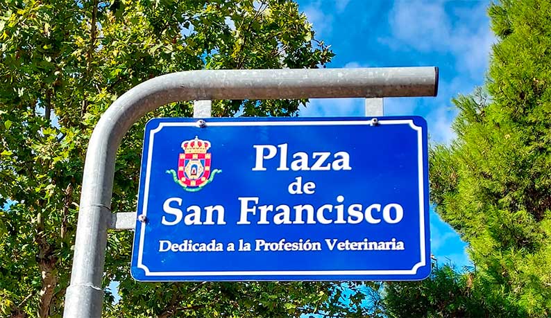 Consejo de Colegios Profesionales de Veterinarios de Castilla-La Mancha