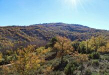 Descubren talleres de 5000 años para la elaboración de grandes cuchillos de sílex en Brihuega