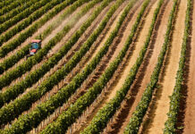 El Ministerio de Agricultura, Pesca y Alimentación asigna casi 9 millones de euros en nuevos derechos de la Reserva Nacional para 2.010 agricultores