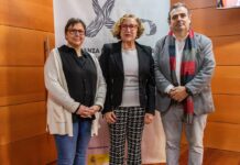 Castilla-La Mancha avanza en la Estrategia de Atención Sanitaria y Sociosanitaria a las enfermedades raras