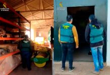 La Guardia Civil detiene a varios miembros de una familia por delito de estafa continuada