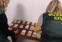 La Guardia Civil detiene en Horche a una persona por un delito de hurto