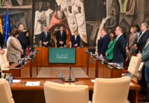 El Pleno en la Diputación de Ciudad Real aprueba el inicio del proceso que culminará con la ejecución de notables mejoras en la carretera que une Torrenueva con Valdepeñas