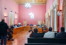 El Pleno aprueba un Plan de Actuación Integrado para la ciudad de Tomelloso