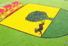 El Tomelloso B vence en el derbi al Pedro Muñoz