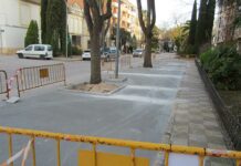 Ecologistas en Acción denuncia que los árboles del Paseo de San Isidro de Tomelloso están en peligro