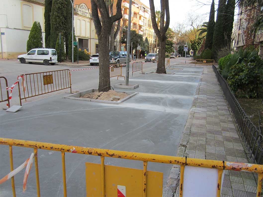 Ecologistas en Acción denuncia que los árboles del Paseo de San Isidro de Tomelloso están en peligro