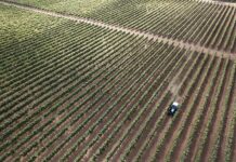 ASAJA celebra dos importantes avances legislativos como son la contratación temporal para campañas agrícolas y la doble tarifa eléctrica para el campo