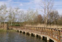 ASAJA Ciudad Real advierte que el sector dará una respuesta contundente si no cesan los bombeos en Las Tablas