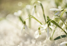 Cómo afecta psicológicamente el cambio de invierno a primavera