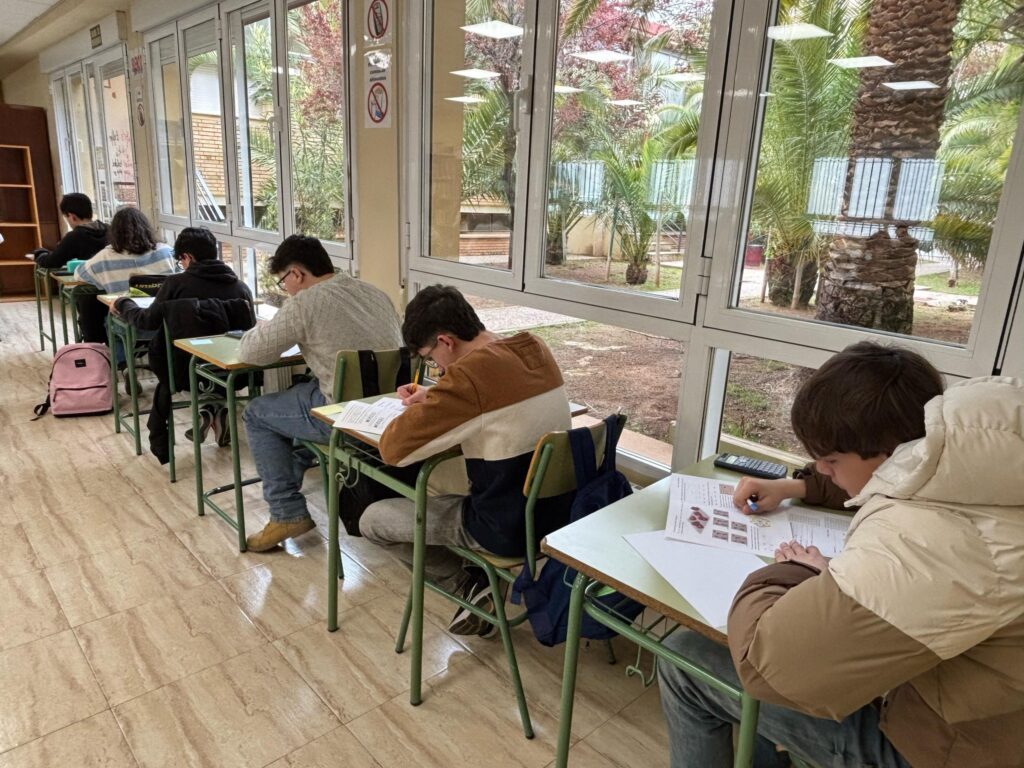 canguro matematico 13