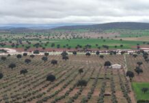 La carretera de Bazán a Santa Cruz de Mudela, cortada por inundaciones