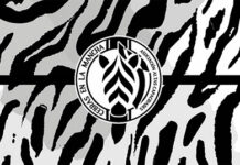 Nace la Asociación «Cebras en La Mancha»