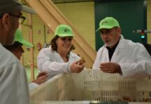 ‘Castilla-La Mancha, Horizonte 2030’ da sus primeros pasos en materia de concertación social con la apertura del proceso de participación pública