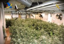 Desmantelada una plantación ‘indoor’ de marihuana en un inmueble de la provincia de Guadalajara