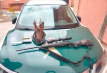 Detenidas dos personas por caza furtiva