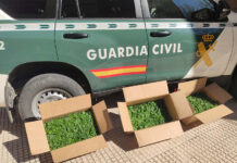 Detenido en Torrejón del Rey por tráfico de drogas