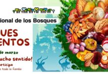 El Gobierno de Castilla-La Mancha celebrará el Día de los Bosques con mucho sentido, una ruta interpretada y la propuesta ‘baños de bosque’