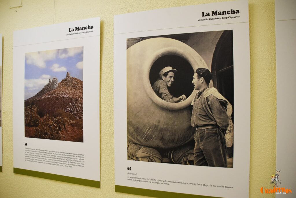 exposicion ciganovic eladio cabanero 11