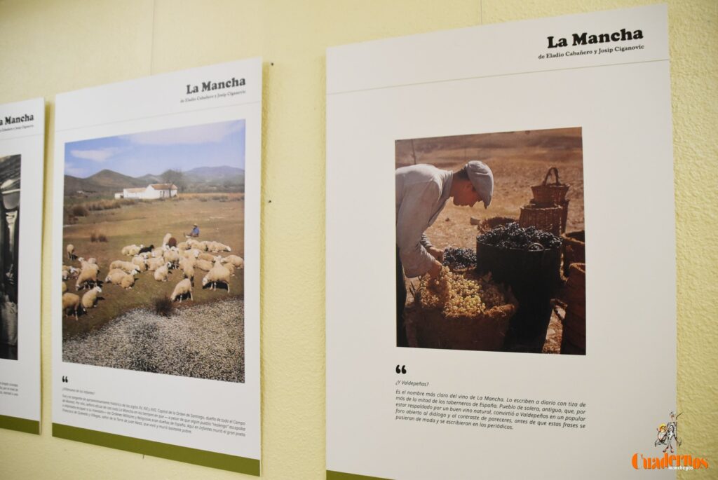 exposicion ciganovic eladio cabanero 13