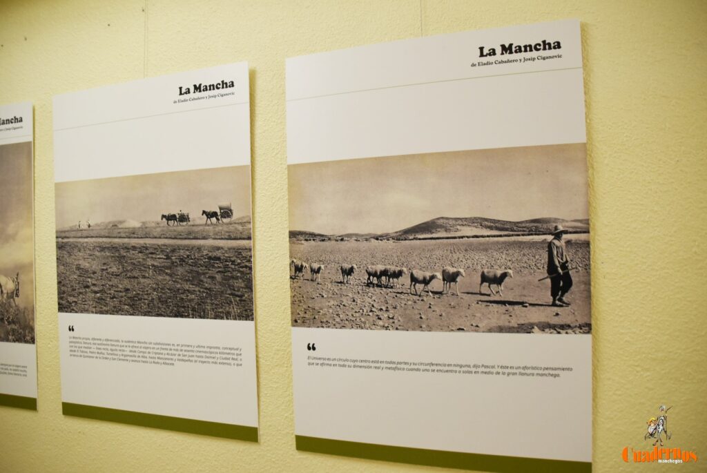 exposicion ciganovic eladio cabanero 5