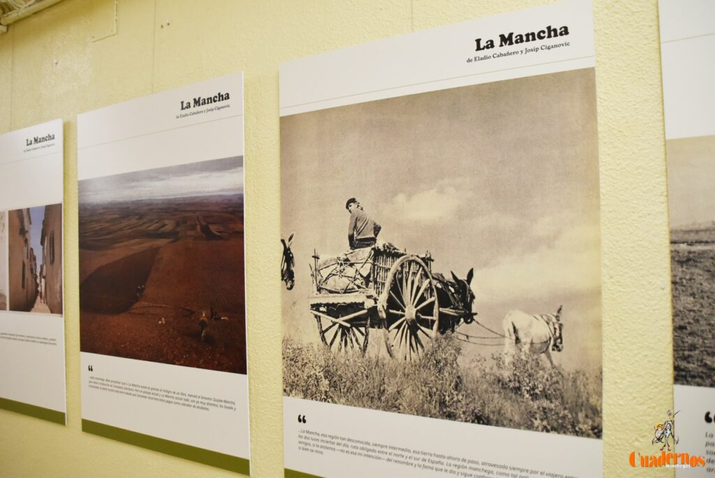 exposicion ciganovic eladio cabanero 6