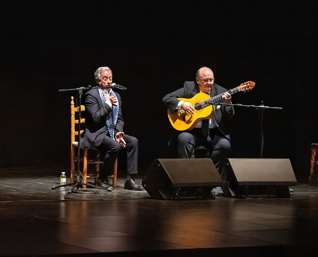 festivalflamencoargamasilla 2