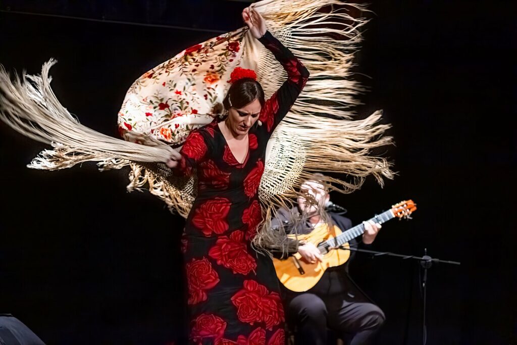 festivalflamencoargamasilla 4