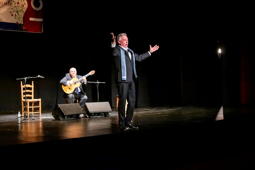 festivalflamencoargamasilla 5