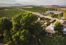 Finca Río Negro, nueva Denominación de Origen vínica de Castilla-La Mancha tras su publicación hoy en el Diario Oficial de la Unión Europea