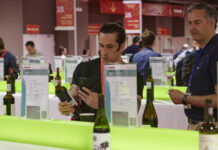 La Galería del Vino de FENAVIN 2025 amplía su espacio y refuerza su papel como escaparate estratégico para el negocio del vino