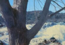 Humanos, árboles, vegetación… (l)