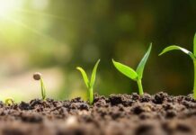 Las empresas de nutrición vegetal de mayor renombre mundial se concentran en Infoagro Exhibition