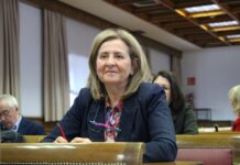 El PSOE propicia un acuerdo en el Senado para reducir el ruido ambiental de las carreteras