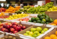 Iniciado este lunes el programa escolar de reparto de frutas y hortalizas que llegará a 553 centros escolares
