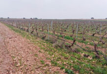 ASAJA Ciudad Real insta a aprovechar los años lluviosos para almacenar agua en el Alto Guadiana