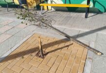 Una pequeña intervención da forma a una zona determinada en el pabellón San José de Tomelloso