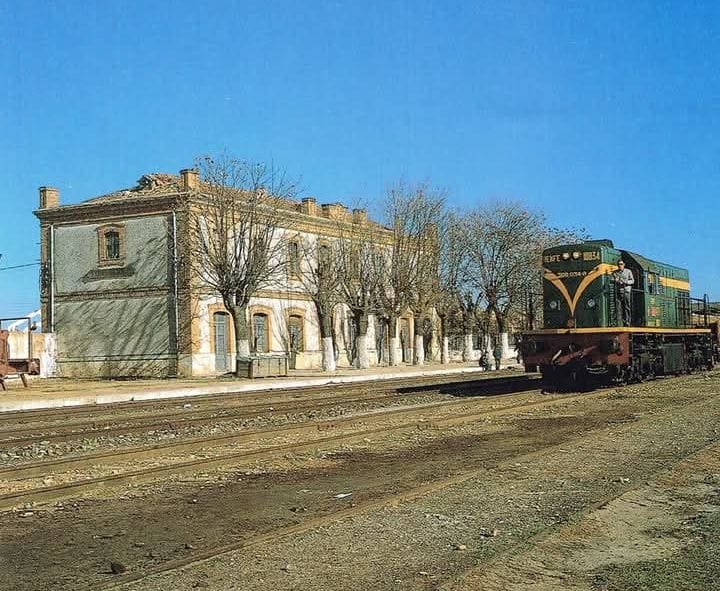 La Asamblea General de Amigos del Ferrocarril tendrá lugar en Tomelloso por apoyar la reinvidicación del tren por Tomelloso y Argamasilla de Alba